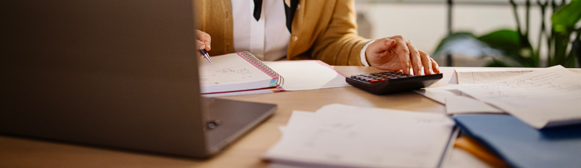 Accountancy and finance professional